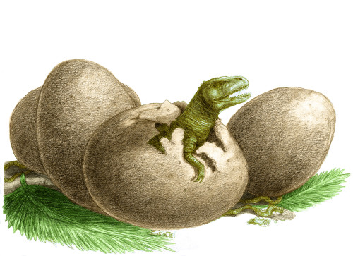 Dinosaur Egg Hatching Poster Print by Spencer Sutton/Science Source - Item # VARSCIBT7282