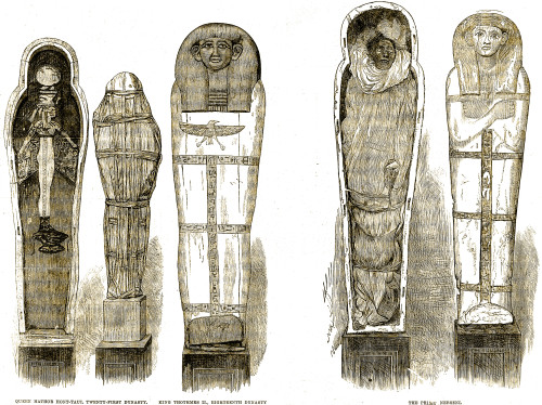 Sarcophagi and Egyptian Mummies, Illustration Poster Print by Science Source - Item # VARSCIJC6673