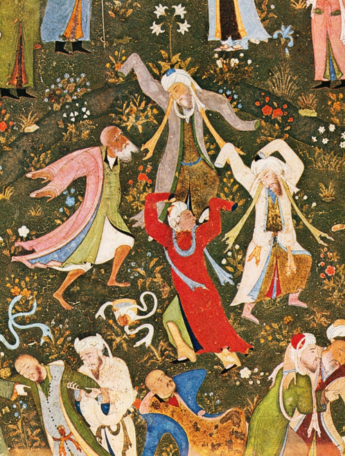 Whirling Dervishes Poster Print by Science Source - Item # VARSCIBS7728