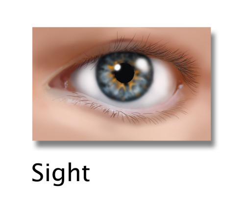 Sight, Illustration Poster Print by Gwen Shockey/Science Source - Item # VARSCIJB2390