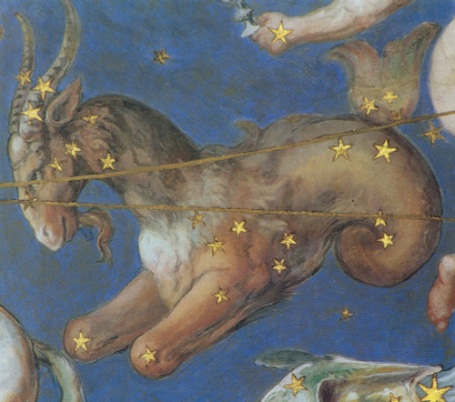 Capricornus Constellation, Zodiac Sign, 1575 Poster Print by Science Source - Item # VARSCIBX9627