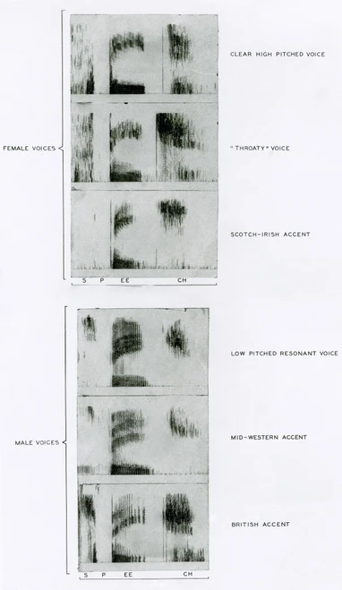 Spectrograms of the word "Speech" Poster Print by Science Source