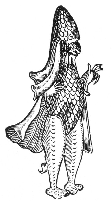Sea Bishop, Legendary Monster, 16th Century Poster Print by Science Source - Item # VARSCI9N3038