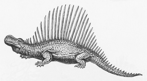 Dinosaur Illustration Poster Print by Science Source - Item # VARSCIBN6710