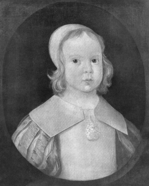 Young Oliver Cromwell, 1601 Poster Print by Science Source - Item # VARSCIBU3990