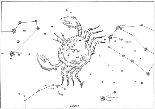 Cancer Constellation, Zodiac Sign, Bayer, 1603 Poster Print by Science Source - Item # VARSCIBX9581