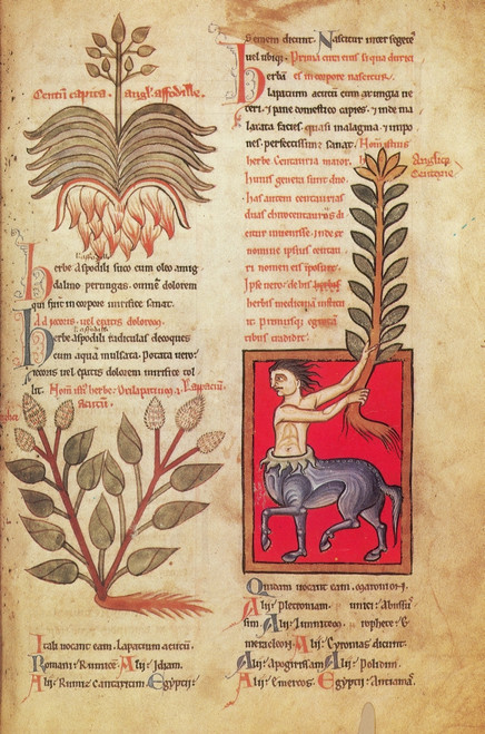 Centaur, Legendary Creatures Poster Print by Science Source - Item # VARSCIBY0515