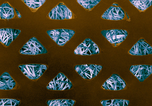 Band Aid, SEM Poster Print by Science Source - Item # VARSCIBX4641