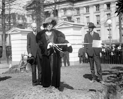 Florence Harding, Planting Tree, 1922 Poster Print by Science Source - Item # VARSCIJB4501