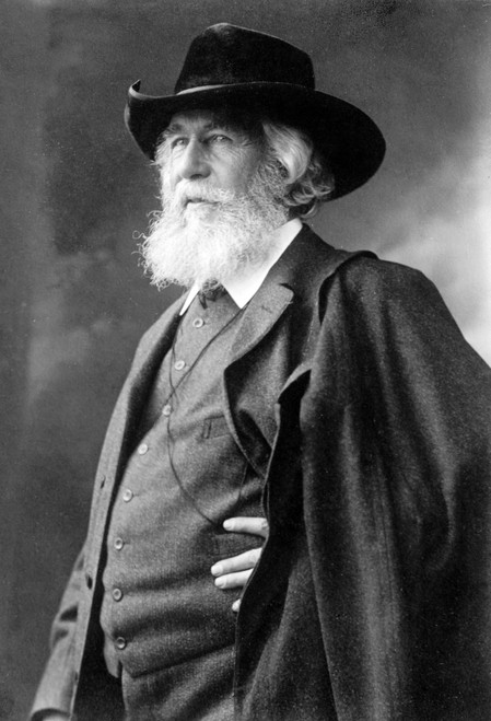 Ernst Haeckel, German Biologist Poster Print by Science Source - Item # VARSCIBV6870