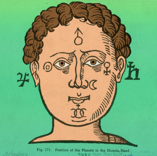 Position of the planets in the human head Poster Print by Science Source - Item # VARSCIBP7350