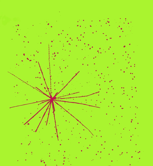 Particle Tracks Poster Print by Science Source - Item # VARSCIBR4040