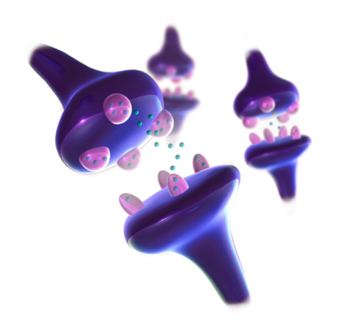 Synapses, Illustration Poster Print by Spencer Sutton/Science Source - Item # VARSCIJA1014