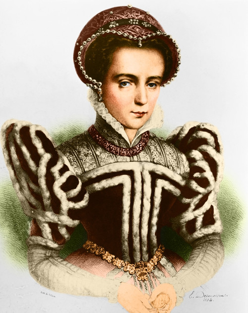 Mary I, Queen of England and Ireland Poster Print by Science Source - Item # VARSCIBR9259