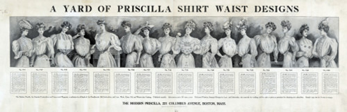 Modern Priscilla, Shirtwaist Patterns, 1906 Poster Print by Science Source - Item # VARSCIJB4581