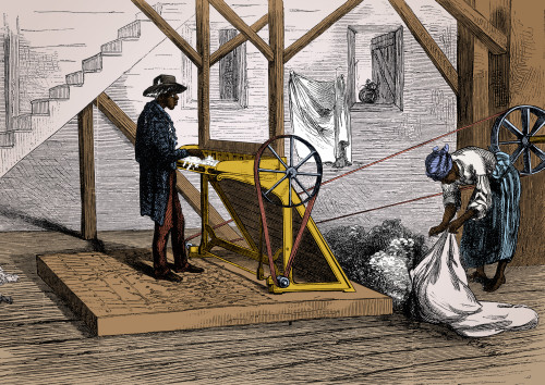 Cotton Gin, 19th Century Poster Print by Science Source - Item # VARSCIJE9363