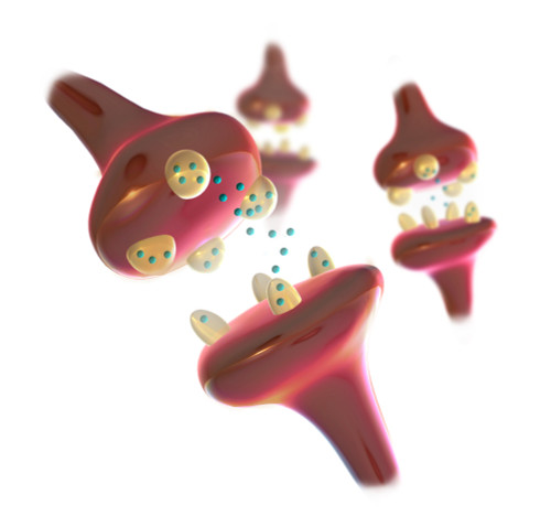 Synapses, Illustration Poster Print by Spencer Sutton/Science Source - Item # VARSCIJA1013