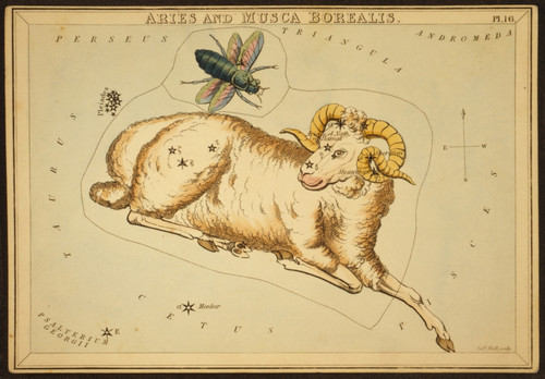 Aries Constellation, Zodiac Sign, 1825 Poster Print by Science Source - Item # VARSCIBY2721