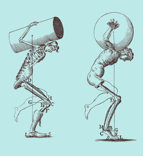 Biomechanics Poster Print by Science Source - Item # VARSCIBW3715