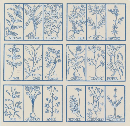 Edible herbs Poster Print by Science Source - Item # VARSCIBQ0986