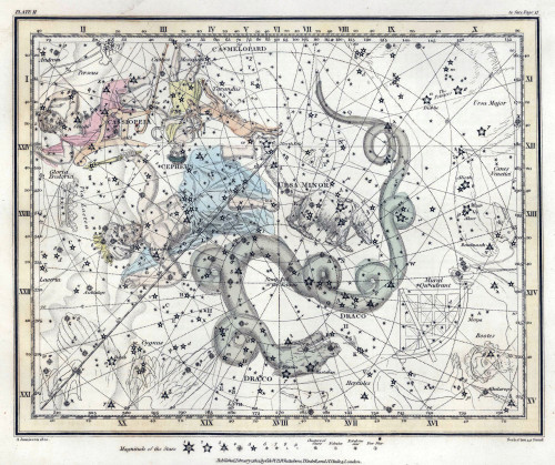 Northern Sky Constellations, 1822 Poster Print by Science Source - Item # VARSCIBY2438