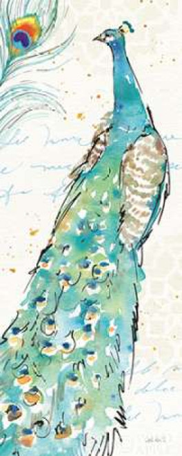 Peacock Garden III Poster Print by Anne Tavoletti - Item # VARPDX30422