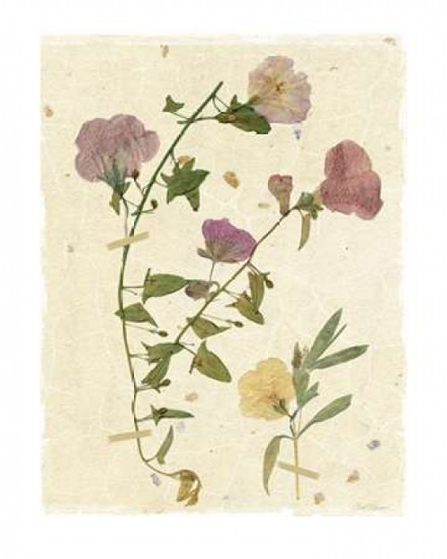 Pressed Morning Poster Print by Carol Robinson - Item # VARPDX17913