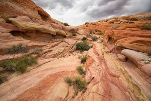 Valley of Fire I Poster Print by Stan Hellmann - Item # VARPDXPSHEL135