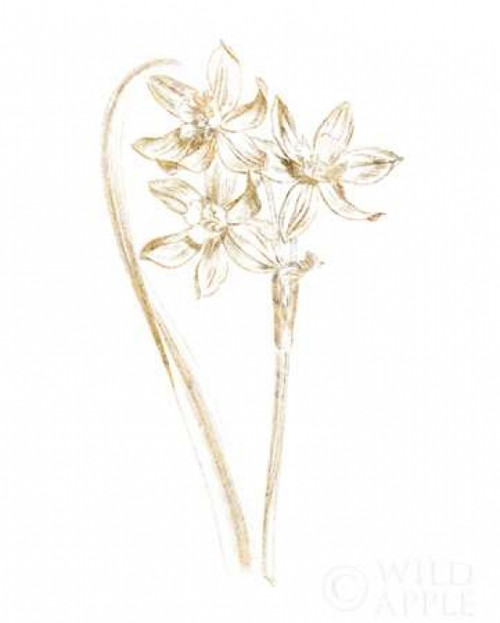 Gilded Botanical IV Poster Print by Wild Apple Portfolio - Item # VARPDX31862