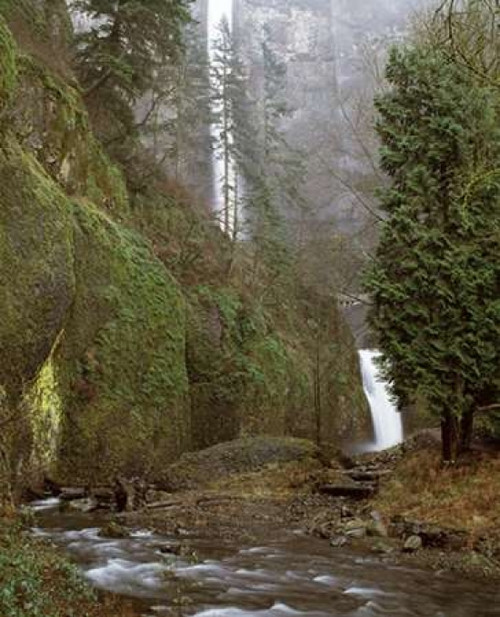 Multnomah Falls Creek Side II Poster Print by Ike Leahy - Item # VARPDXPSLHY293