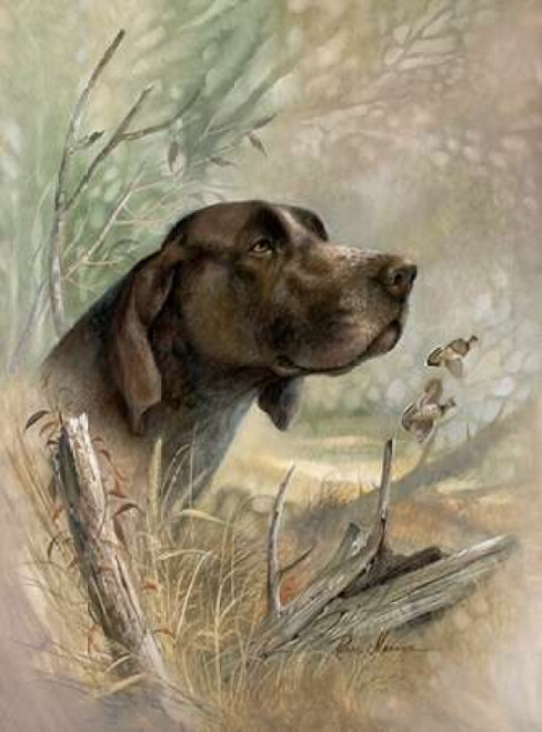 Beauty on Point Poster Print by Ruane Manning - Item # VARPDX8505A