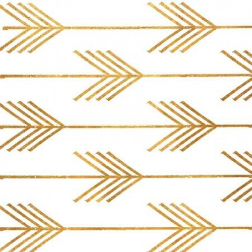 Golden Arrows I Poster Print by Elizabeth Medley - Item # VARPDX9734V