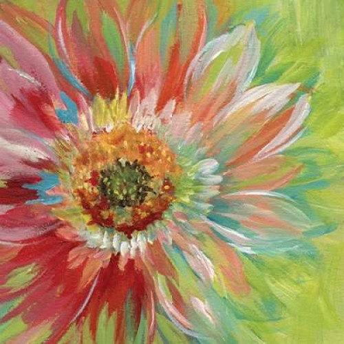 Bright Sunburst Poster Print by Nan - Item # VARPDX17704