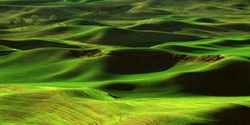 Palouse Green Poster Print by Ike Leahy - Item # VARPDXPSLHY314