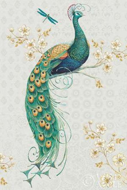 Ornate Peacock IXA Poster Print by Daphne Brissonnet - Item # VARPDX28572