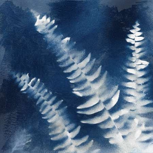 Natures Indigo IV Poster Print by Nan - Item # VARPDX17810