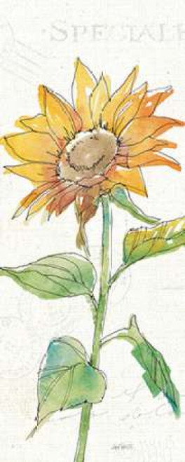 Tuscan Elegance VI Poster Print by Anne Tavoletti - Item # VARPDX31922HR