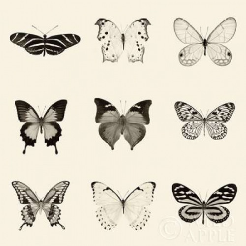 Butterfly BW 9 Patch Poster Print by Debra Van Swearingen - Item # VARPDX27640