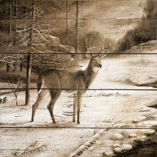 Shadows of the Forest Poster Print by Ruane Manning - Item # VARPDX8502A
