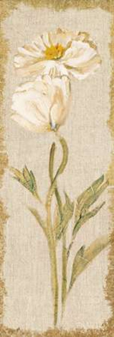 Cosmo Panel on White Vintage Poster Print by Cheri Blum - Item # VARPDX24613