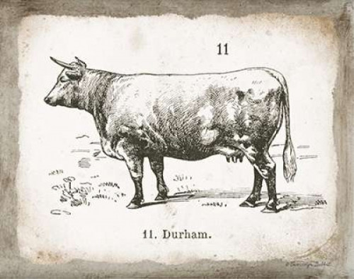 French Cow II Poster Print by Gwendolyn Babbitt
