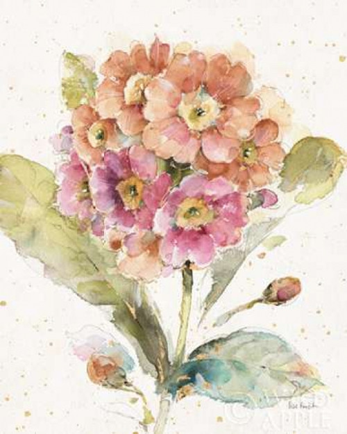 Country Bloom III Poster Print by Lisa Audit - Item # VARPDX30024