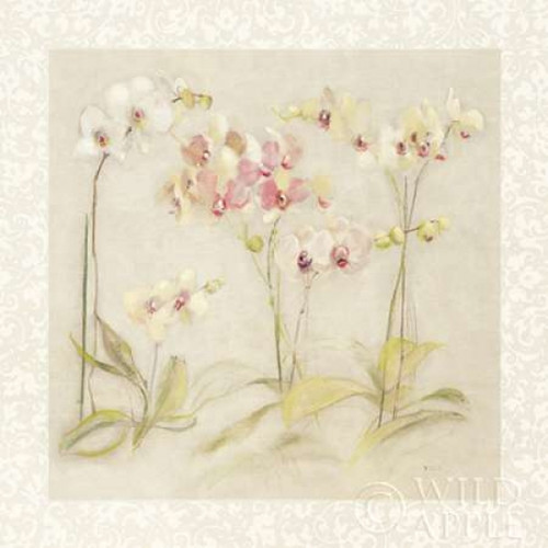 The Dance of the Orchids Poster Print by Cheri Blum - Item # VARPDX7633