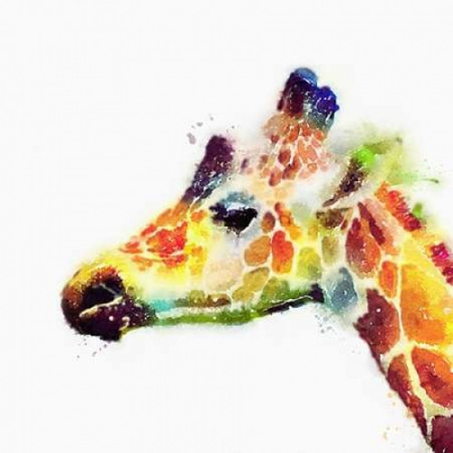 The Graceful II Poster Print by Jacqueline Maldonado - Item # VARPDXM1359D