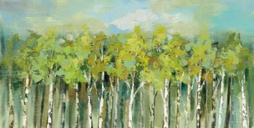 April Tree Trops Poster Print by Silvia Vassileva - Item # VARPDX30157