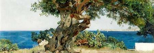 Algarrobo Poster Print by Joaquin Sorolla y Bastida - Item # VARPDX4AA2144