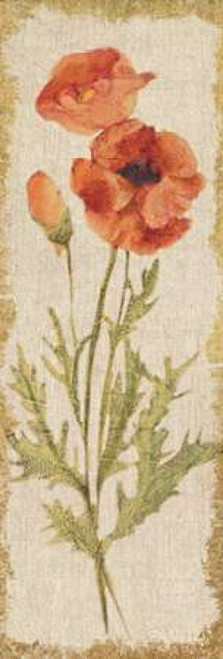 Poppy Panel on White Vintage Poster Print by Cheri Blum - Item # VARPDX24614