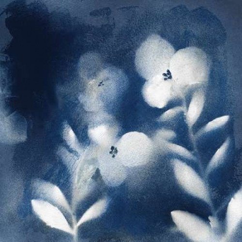 Natures Indigo I Poster Print by Nan - Item # VARPDX17807