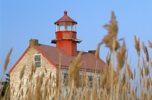 Lighthouse In Wheat Field PosterPrint - Item # VARDPI1891902