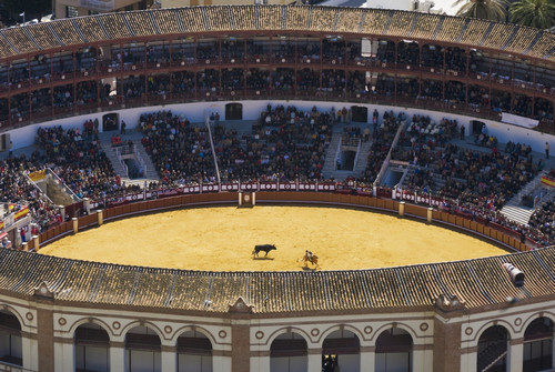 Elevated View Of Bullring PosterPrint - Item # VARDPI1890795